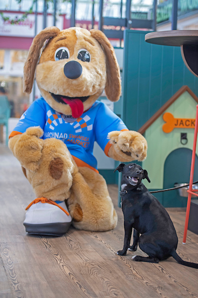 Image of a small dog and a dog mascot at the Swansea Market.
