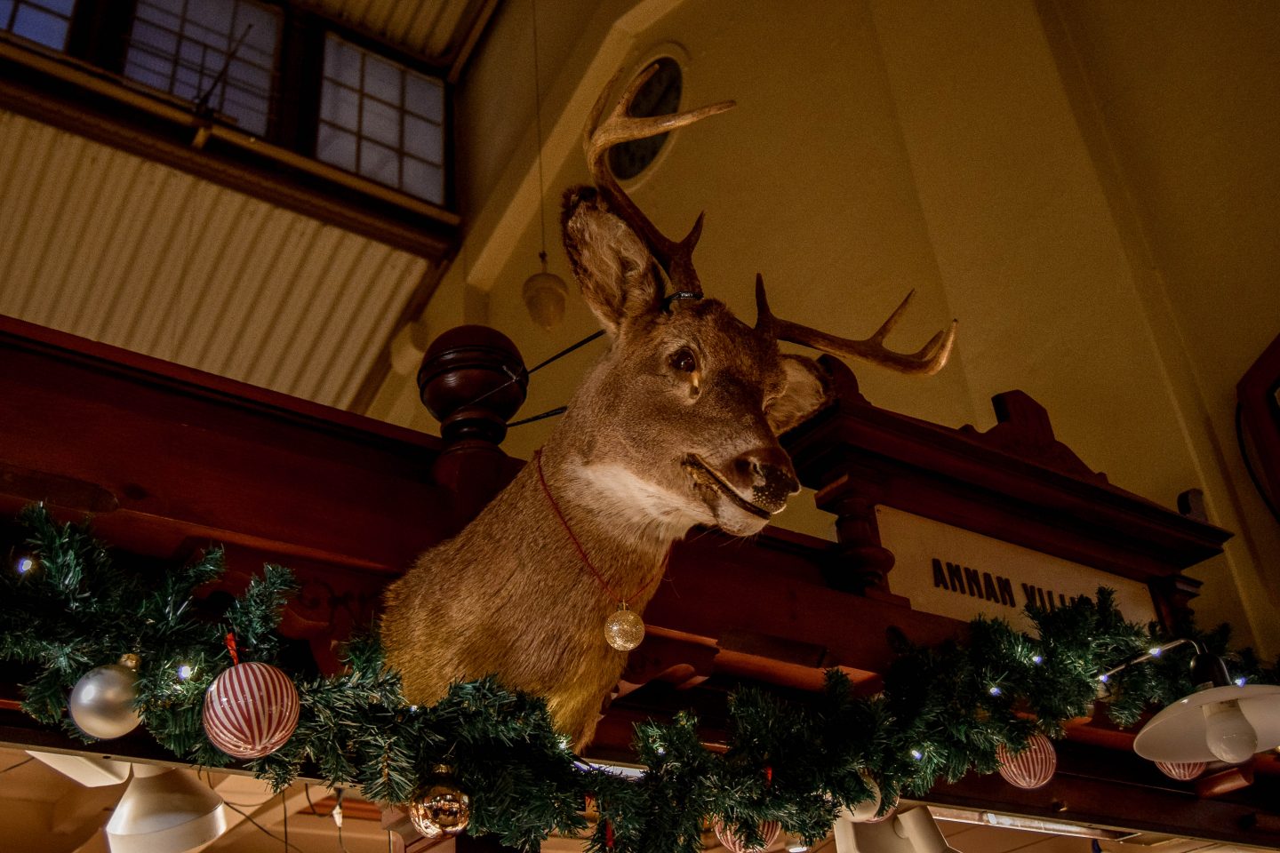 A deer head with a Christmas wreath below it mounted to a market stall.