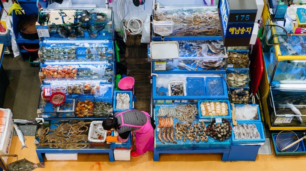 Noryangjin Fish Market, Seoul Featured Image